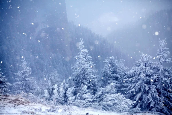 Natale Capodanno Sfondo Con Alberi Invernali Montagne Coperte Neve Fresca — Foto Stock