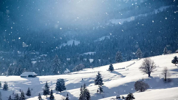 Malá Rumunská Vesnice Karpat Pokrytá Sněhem — Stock fotografie