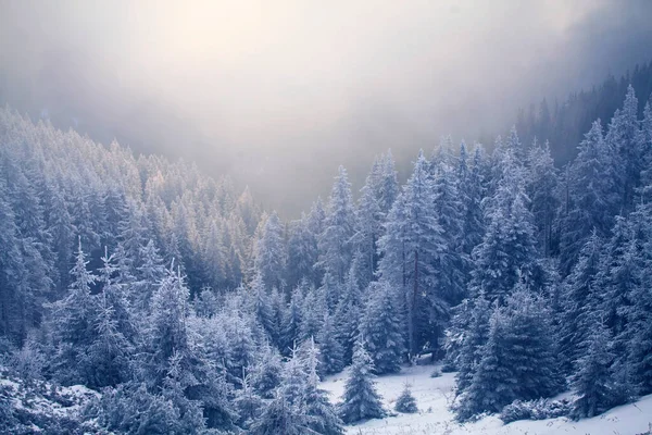 Natale Capodanno Sfondo Con Alberi Invernali Montagne Coperte Neve Fresca — Foto Stock