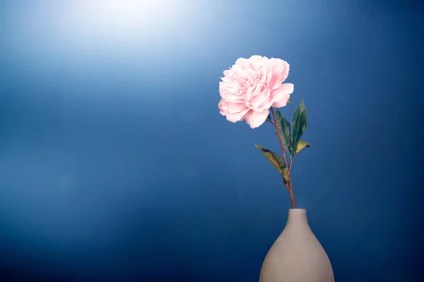 Flor Rosa Jarrón Sobre Fondo Azul —  Fotos de Stock