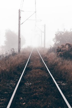 Yoğun beyaz sisli demiryolu rayları