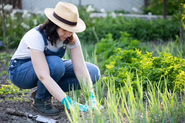 Kobieta Ogrodnik Sadzenie Zbieranie Warzyw Ogrodu — Zdjęcie stockowe