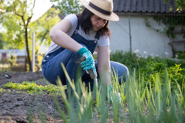 Mujer Jardinero Plantando Recogiendo Vegetales Del Jardín Del Patio Trasero —  Fotos de Stock