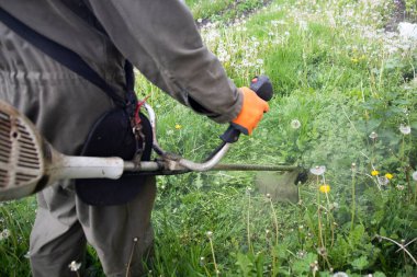 Çim biçme makinesiyle çimleri biçmek. Bahçe işleri konsepti.