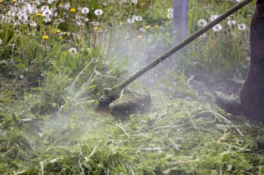 Çim biçme makinesiyle çimleri biçmek. Bahçe işleri konsepti.