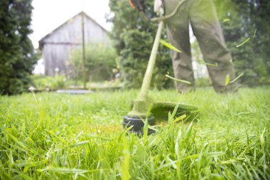 Çim biçme makinesiyle çimleri biçmek. Bahçe işleri konsepti.
