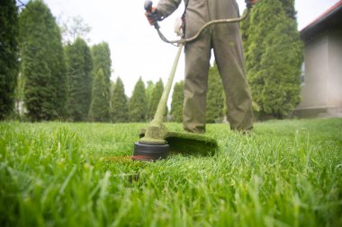 Çim biçme makinesiyle çimleri biçmek. Bahçe işleri konsepti.