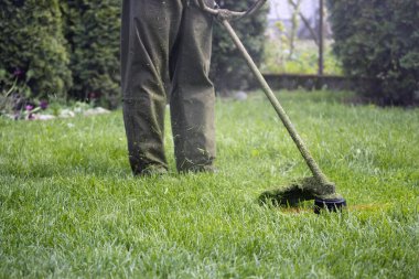 Çim biçme makinesiyle çimleri biçmek. Bahçe işleri konsepti.