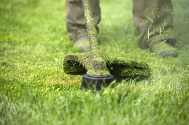 Çim biçme makinesiyle çimleri biçmek. Bahçe işleri konsepti.