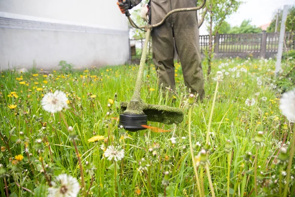 Klipper Gräset Med Gräsklippare Trädgårdsarbete Bakgrund — Stockfoto