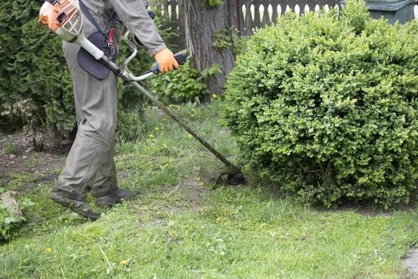 Cortar Relva Com Cortador Relva Jardim Trabalho Fundo Conceito — Fotografia de Stock