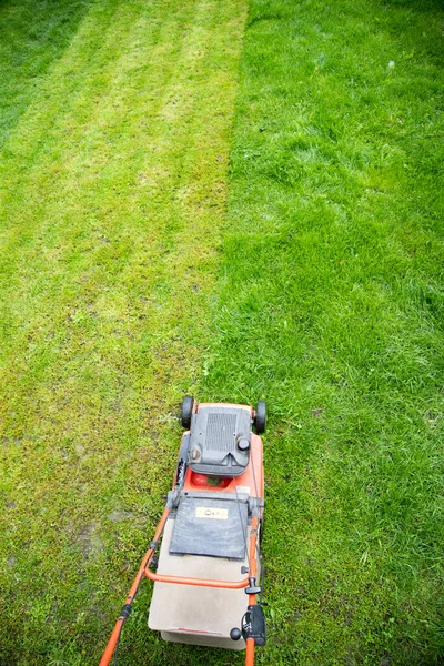 Klipper Gräset Med Gräsklippare Trädgårdsarbete Bakgrund — Stockfoto