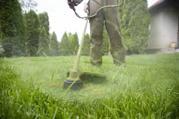 Tondre Herbe Avec Une Tondeuse Gazon Jardin Travail Concept Arrière — Photo