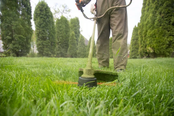 Klipper Gräset Med Gräsklippare Trädgårdsarbete Bakgrund — Stockfoto