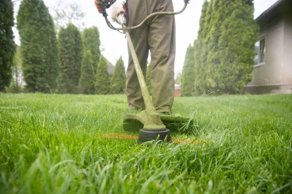 Klipper Gräset Med Gräsklippare Trädgårdsarbete Bakgrund — Stockfoto