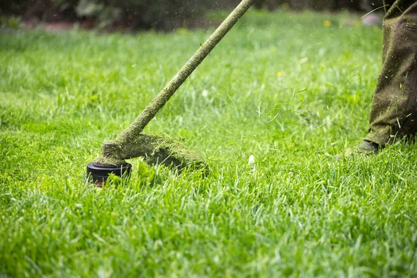 Klipper Gräset Med Gräsklippare Trädgårdsarbete Bakgrund — Stockfoto