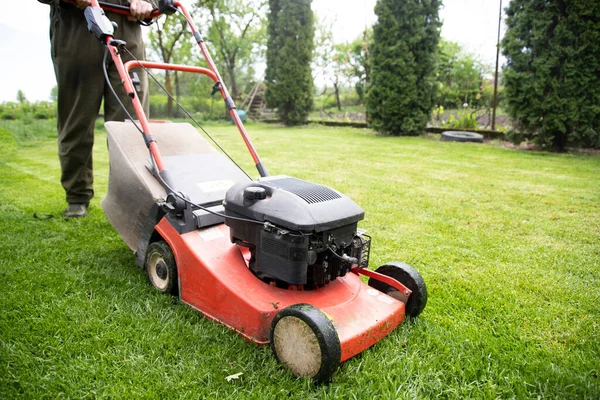 Mowing Grass Lawn Mower Garden Work Concept Background Stock Picture