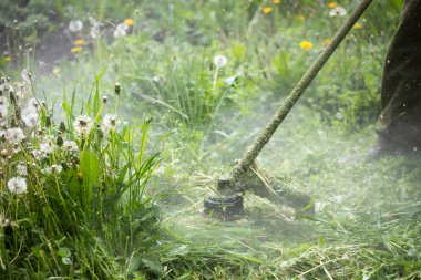Çim biçme makinesiyle çimleri biçmek. Bahçe işleri konsepti.