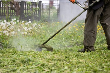 Çim biçme makinesiyle çimleri biçmek. Bahçe işleri konsepti.