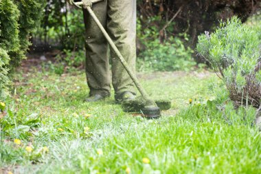 Çim biçme makinesiyle çimleri biçmek. Bahçe işleri konsepti.