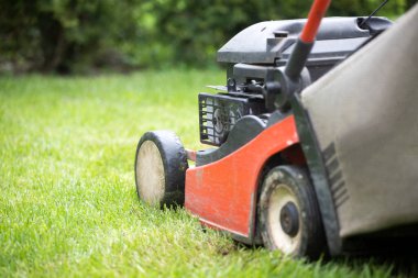 Çim biçme makinesiyle çimleri biçmek. Bahçe işleri konsepti.