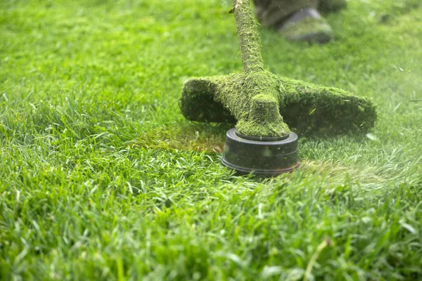 Mowing Grass Lawn Mower Garden Work Concept Background — Stock Photo, Image