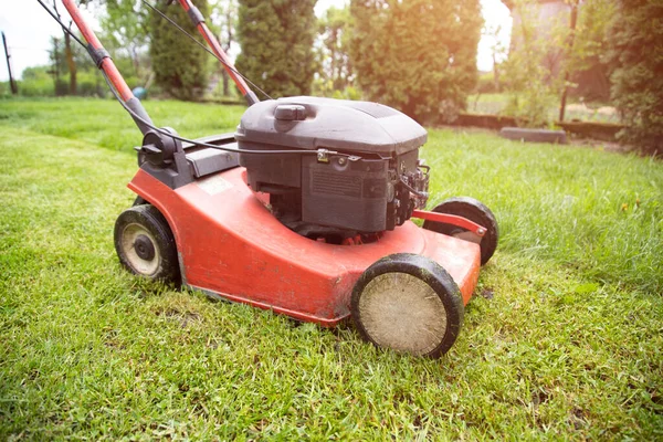 Cortando Hierba Con Una Cortadora Césped Jardín Trabajo Concepto Fondo —  Fotos de Stock