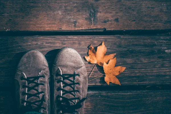 秋の紅葉を背景にした女性の靴の秋の背景 — ストック写真