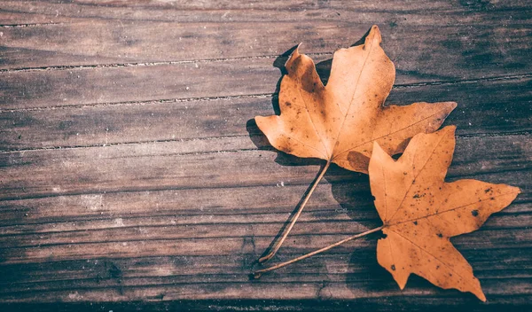 秋天的叶子盖在木制的背景上 有复制的空间 — 图库照片