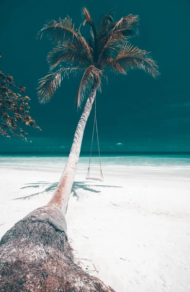 Tropical Παραλία Φόντο Φοίνικες Λευκή Άμμο Μπλε Ουρανό Και Μια — Φωτογραφία Αρχείου