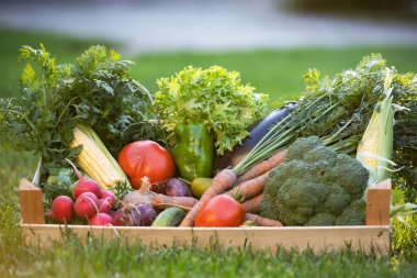 Tahta bir kutuda taze biyo-sebze. Sağlıklı gıda kavramı. 