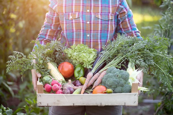 Mujer Campesina Sosteniendo Caja Madera Llena Verduras Frescas Crudas Concepto — Foto de Stock