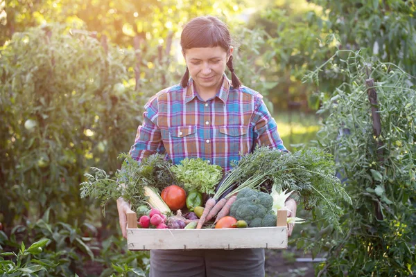 Mujer Campesina Sosteniendo Caja Madera Llena Verduras Frescas Crudas Concepto — Foto de Stock