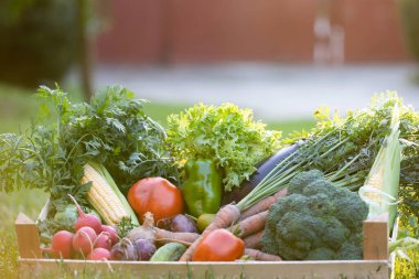 Tahta bir kutuda taze biyo-sebze. Sağlıklı gıda kavramı. 