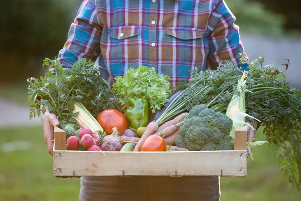 Mujer Campesina Sosteniendo Caja Madera Llena Verduras Frescas Crudas Concepto — Foto de Stock