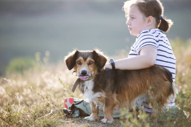 Köpeğiyle yaz otlağında oturan bir çocuk.