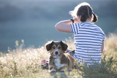 Köpeğiyle yaz otlağında oturan bir çocuk.