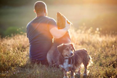 İnsanoğlu ve köpeği yaz tarlasında oturmuş gün batımının tadını çıkarıyorlar.