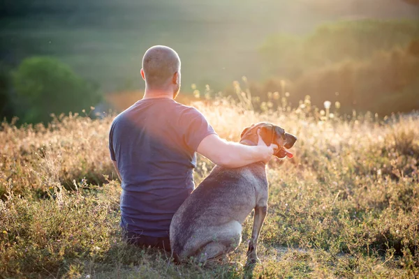 Man His Dog Sitting Summer Field Enjoying Amazing Sunset — Stock Photo, Image