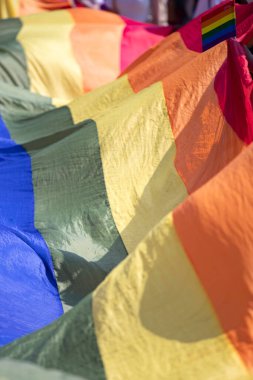 Gay gururu, LGBTQ gökkuşağı bayrakları havada sallanıyor
