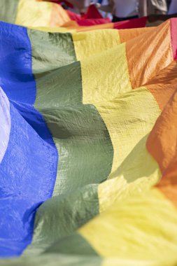 Gay gururu, LGBTQ gökkuşağı bayrakları havada sallanıyor