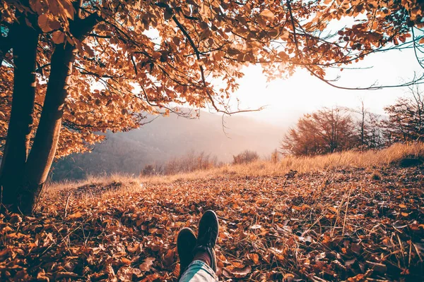 坐在秋天的森林里的旅行者的腿 健康的生活方式 — 图库照片