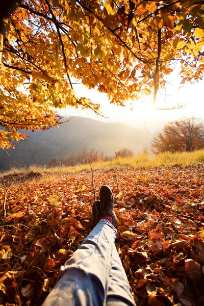 Gambe Del Viaggiatore Seduto Nella Foresta Autunnale Stile Vita Attivo — Foto Stock