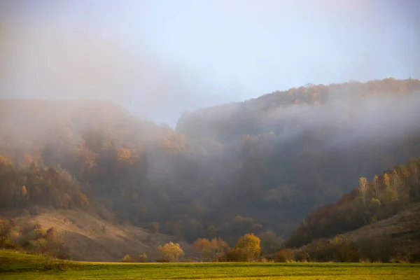カラフルな森で秋の風景を驚かせる — ストック写真