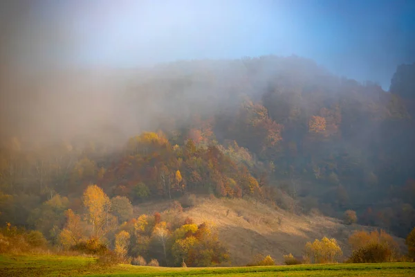 Erstaunliche Herbstlandschaft Mit Buntem Wald — Stockfoto