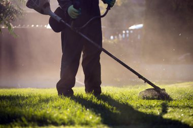 Çim biçme makinesiyle çimleri biçmek. Bahçe işleri konsepti.