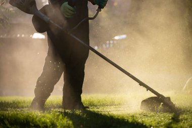 Çim biçme makinesiyle çimleri biçmek. Bahçe işleri konsepti.
