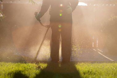 Çim biçme makinesiyle çimleri biçmek. Bahçe işleri konsepti.