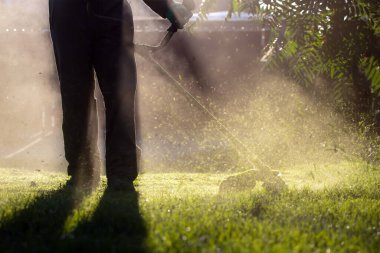 Çim biçme makinesiyle çimleri biçmek. Bahçe işleri konsepti.