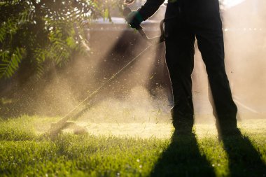 Çim biçme makinesiyle çimleri biçmek. Bahçe işleri konsepti.